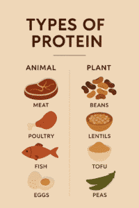Protein Builds Muscle Science EXPLAINED |శాస్త్రీయ విశ్లేషణ 1 Good | useful 9 Protein Builds Muscle Science EXPLAINED |శాస్త్రీయ విశ్లేషణ 1 Good | useful