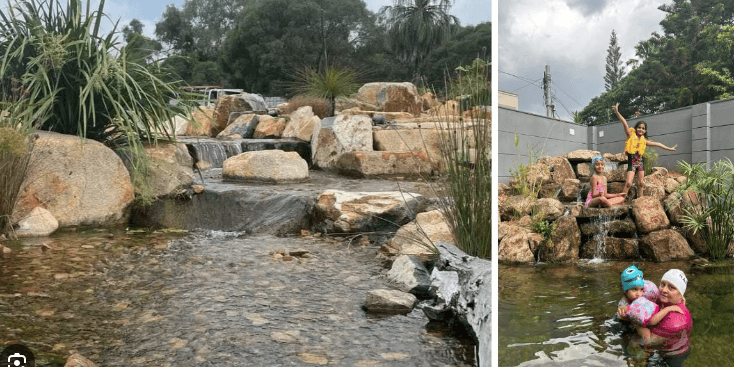 Coimbatore Bio Swim Ponds | కొడుకుకోసం సహజ స్విమ్మింగ్ పూల్ ₹3 కోట్ల టర్నోవర్ 3 Coimbatore Bio Swim