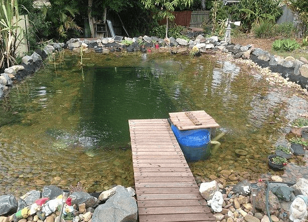 Coimbatore Bio Swim Ponds | కొడుకుకోసం సహజ స్విమ్మింగ్ పూల్ ₹3 కోట్ల టర్నోవర్ 4 Coimbatore Bio Swim