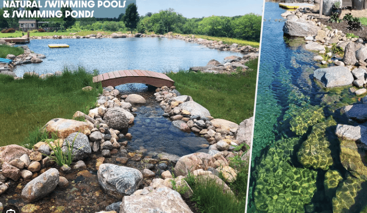 Coimbatore Bio Swim Ponds | కొడుకుకోసం సహజ స్విమ్మింగ్ పూల్ ₹3 కోట్ల టర్నోవర్ 5 Coimbatore Bio Swim
