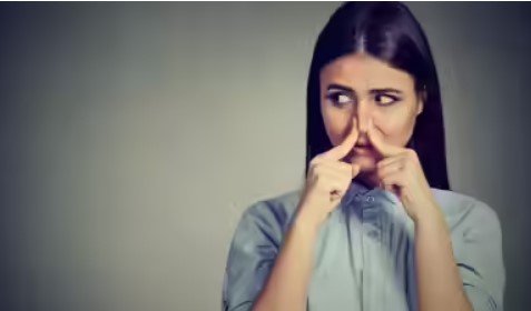 Get rid of Bad Smell మీరు వదిలే గ్యాస్ కంపు కొడుతుందా, 5 tips దుర్వాసనను ఎలా వదిలించుకోవాలో చెప్పిన ఎక్స్పర్ట్ 4 Get rid of Bad Smell