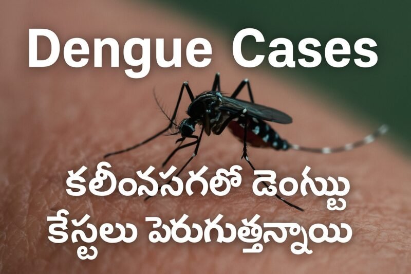 Karimnagar Dengue Cases Updates | Karimnagar లో డెంగ్యూ కేసులు పెరుగుతున్నాయి