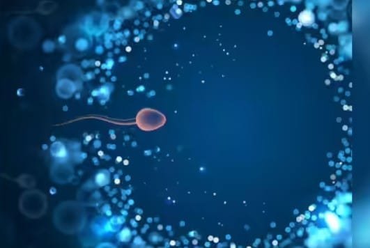 Quick Pregnancy | గర్భధారణకు గోల్డెన్ డేస్ 3 Quick Pregnancy