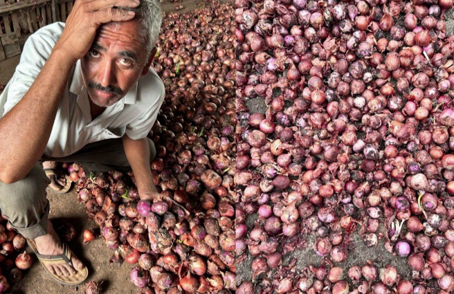 Maharashtra News మహారాష్ట్రలో వర్షంతో దెబ్బతిన్న 7.5 క్వింటాళ్ల ఉల్లిపాయలకు.... 1 magzin