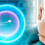 Natural Pregnancy |సహజంగా గర్భం దాల్చడం ఎలా? సంతానోత్పత్తిని పెంచే అద్భుతమైన చిట్కాలు 5 Natural Pregnancy