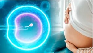 Natural Pregnancy |సహజంగా గర్భం దాల్చడం ఎలా? సంతానోత్పత్తిని పెంచే అద్భుతమైన చిట్కాలు 10 Natural Pregnancy |సహజంగా గర్భం దాల్చడం ఎలా? సంతానోత్పత్తిని పెంచే అద్భుతమైన చిట్కాలు