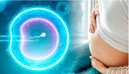 Natural Pregnancy |సహజంగా గర్భం దాల్చడం ఎలా? సంతానోత్పత్తిని పెంచే అద్భుతమైన చిట్కాలు 1 Natural Pregnancy
