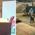 Andhra Pradeshలో ధాన్యం కొనుగోలు 2025: అక్టోబర్ 27 నుంచి 51 లక్షల మెట్రిక్ టన్నుల లక్ష్యం 6 Andhra Pradesh