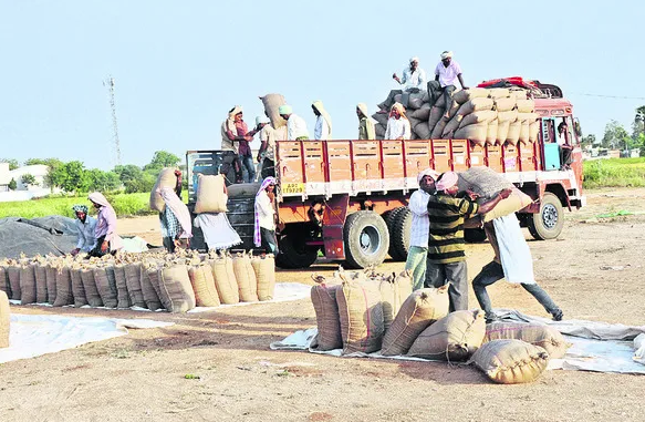 Andhra Pradeshలో ధాన్యం కొనుగోలు 2025: అక్టోబర్ 27 నుంచి 51 లక్షల మెట్రిక్ టన్నుల లక్ష్యం 3 Andhra Pradesh