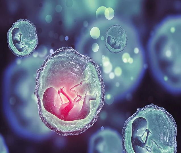 Egg Freezing గుడ్డు గడ్డకట్టడం అంటే ఏమిటి...?కొన్ని అపోహలను ఛేదించడం... 8 Egg Freezing