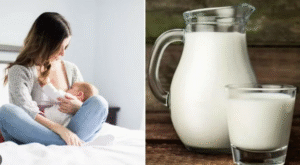 Is It Safe To Feed Cow Milk శిశువులకు ఆవు పాలు ఇవ్వవచ్చా?... 11 Is It Safe To Feed Cow Milk శిశువులకు ఆవు పాలు ఇవ్వవచ్చా?…