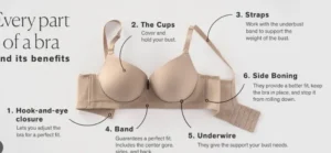 What s in a Bra |బ్రా గురించి బ్రహ్మాండమైన నిజాలు... 5 Usefull information 8 What s in a Bra |బ్రా గురించి బ్రహ్మాండమైన నిజాలు… 5 Usefull information