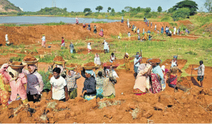MGNREGA e-KYC Irregularities Andhra Pradesh: ఏపీలో ఉపాధి హమీ కార్డులు రద్దు, అక్రమాలు బయటపడ్డాయి! 45 MGNREGA e-KYC Irregularities Andhra Pradesh