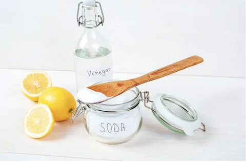 Drain Flies Remedies