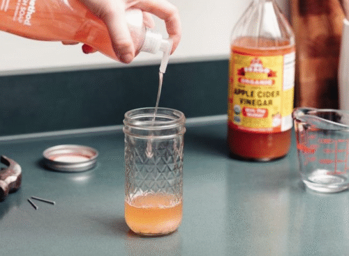 Drain Flies Remedies