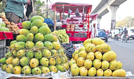 Mango Sales in November: నవంబర్లో నూజివీడు మామిడి మార్కెట్లో హడావిడి! 82 Mango Sales in November