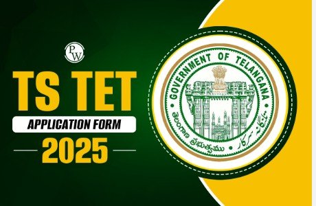 TG TET 2025 Application