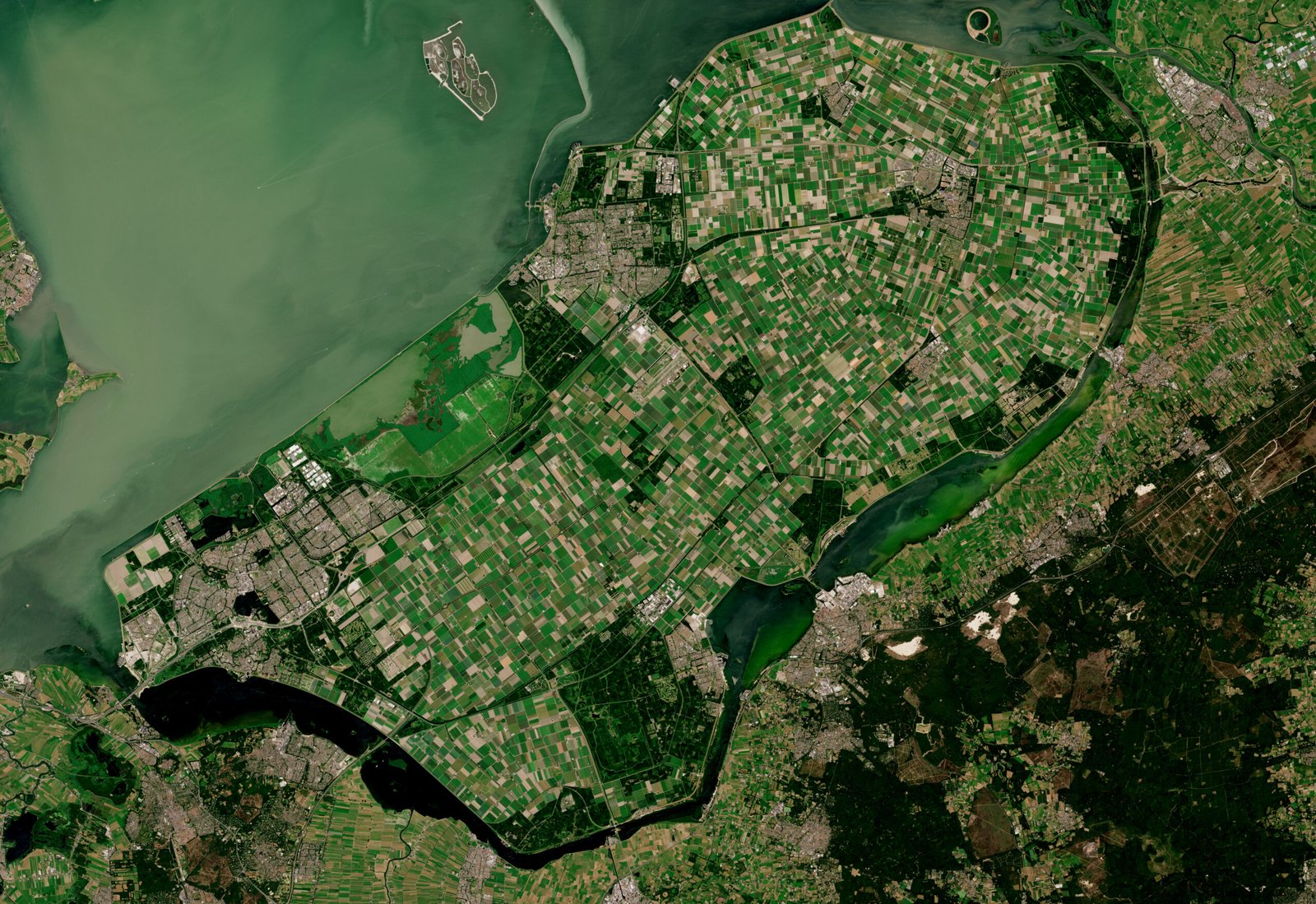 Flevopolder - Wikipedia