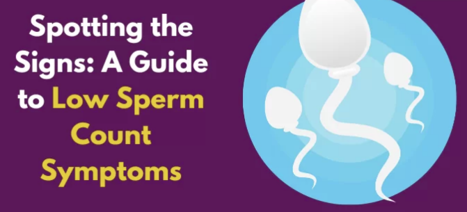 Sperm Quality Pregnancy Symptoms