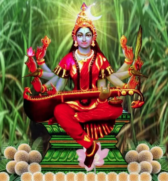 Shyamala Navaratri 2026