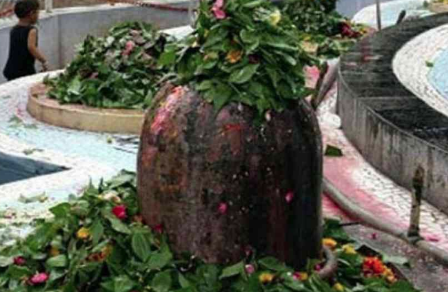 Maha Shivratri Story: మహా శివరాత్రి కథ మరియు ఉపవాసం ఆరోగ్య లాభాలు 3 image 106