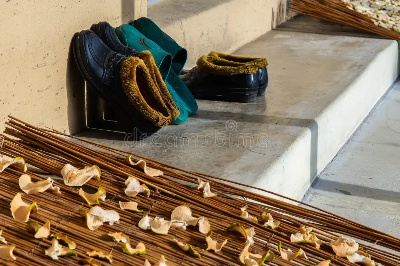 RasiPhalalu కొత్త చెప్పులు బూట్లు కొనడానికి శుభ దినాలు & నిషిద్ధ రోజులు 4 image 172