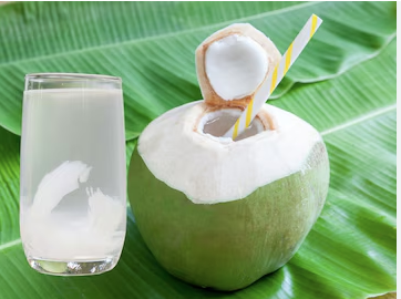 Coconut Water vs Buttermilk: వేసవిలో శరీరానికి నిజంగా ఏది మంచిది? 9 coconut water 2