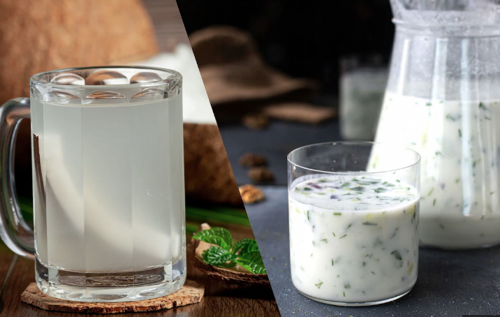 Coconut Water vs Buttermilk: వేసవిలో శరీరానికి నిజంగా ఏది మంచిది? 7 Coconut Water vs Buttermilk